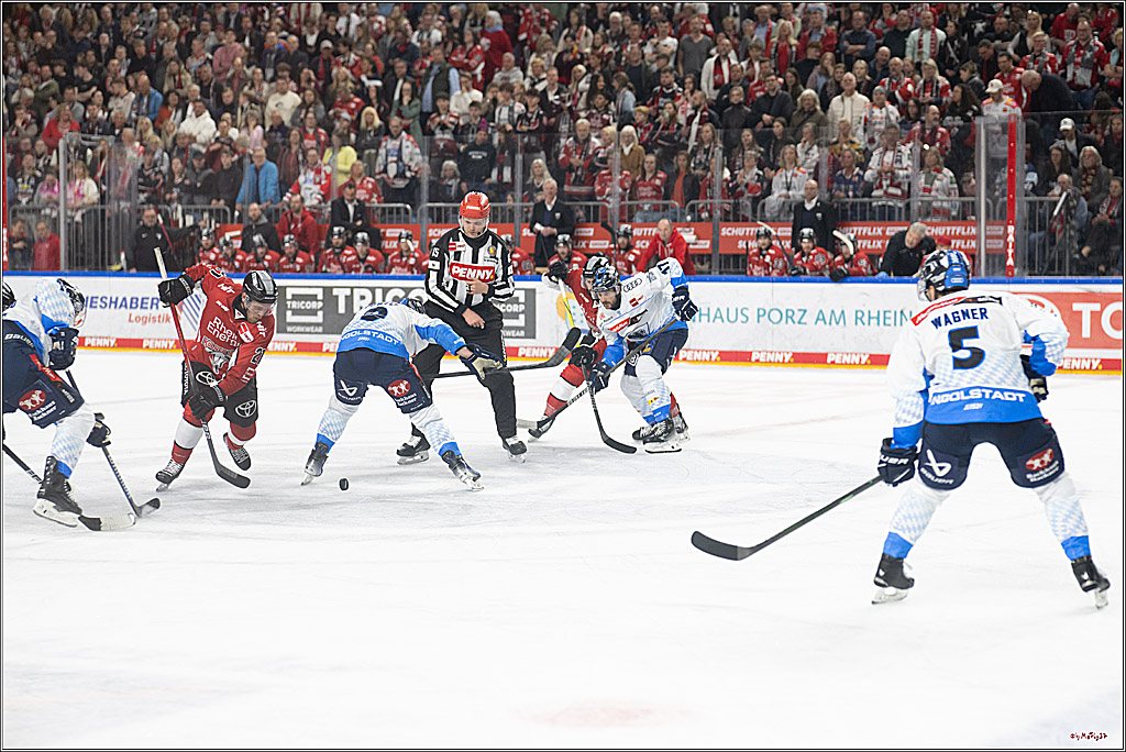 PENNY DEL 1 - Playoff Halbfinale; Kölner Haie - ERC Ingolstadt; Köln, 09.04.2025