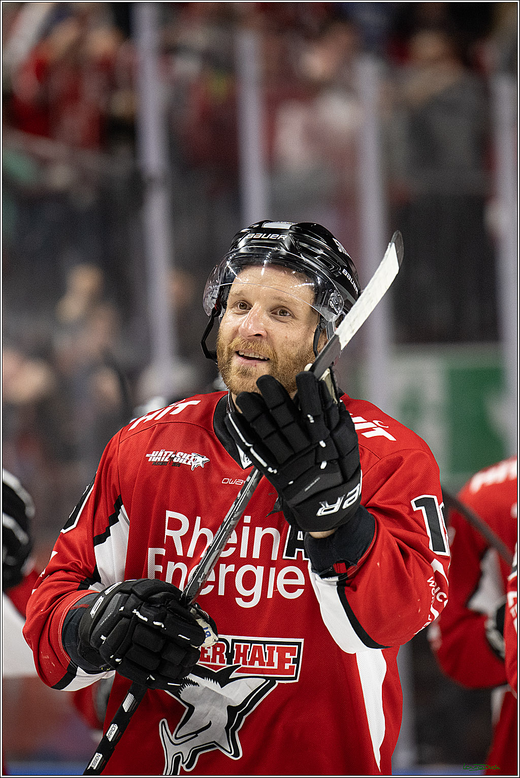 PENNY DEL; Koelner Haie- ERC Ingolstadt; Koeln, 14.04.2025