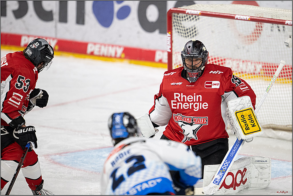 PENNY DEL 1 - Playoff Halbfinale; Kölner Haie - ERC Ingolstadt; Köln, 14.04.2025