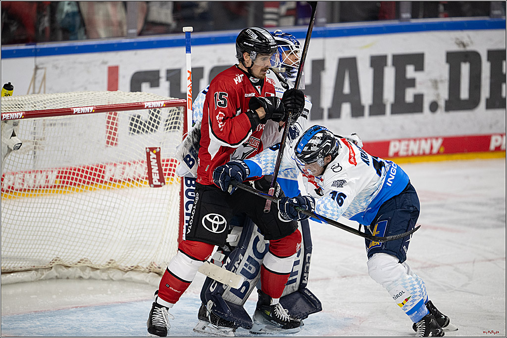 PENNY DEL 1 - Playoff Halbfinale; Kölner Haie - ERC Ingolstadt; Köln, 14.04.2025