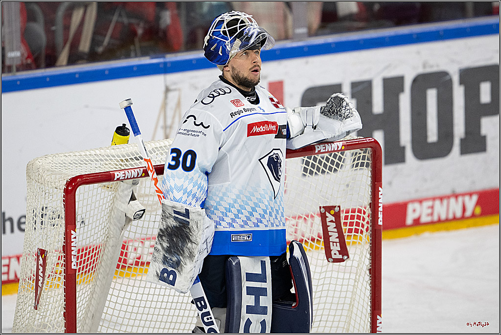 PENNY DEL 1 - Playoff Halbfinale; Kölner Haie - ERC Ingolstadt; Köln, 14.04.2025