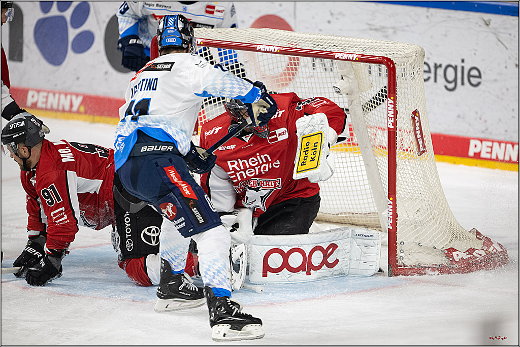 PENNY DEL 1 - Playoff Halbfinale; Kölner Haie - ERC Ingolstadt; Köln, 14.04.2025