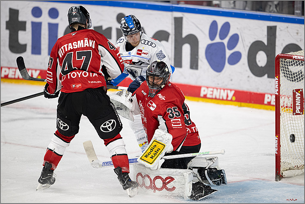 PENNY DEL 1 - Playoff Halbfinale; Kölner Haie - ERC Ingolstadt; Köln, 14.04.2025