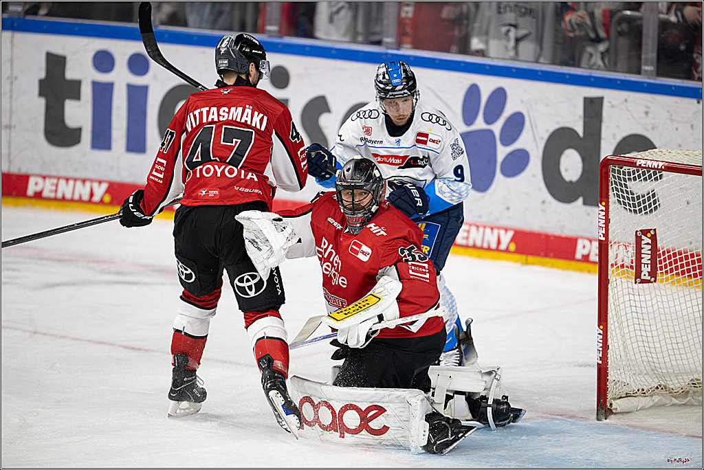 PENNY DEL 1 - Playoff Halbfinale; Kölner Haie - ERC Ingolstadt; Köln, 14.04.2025