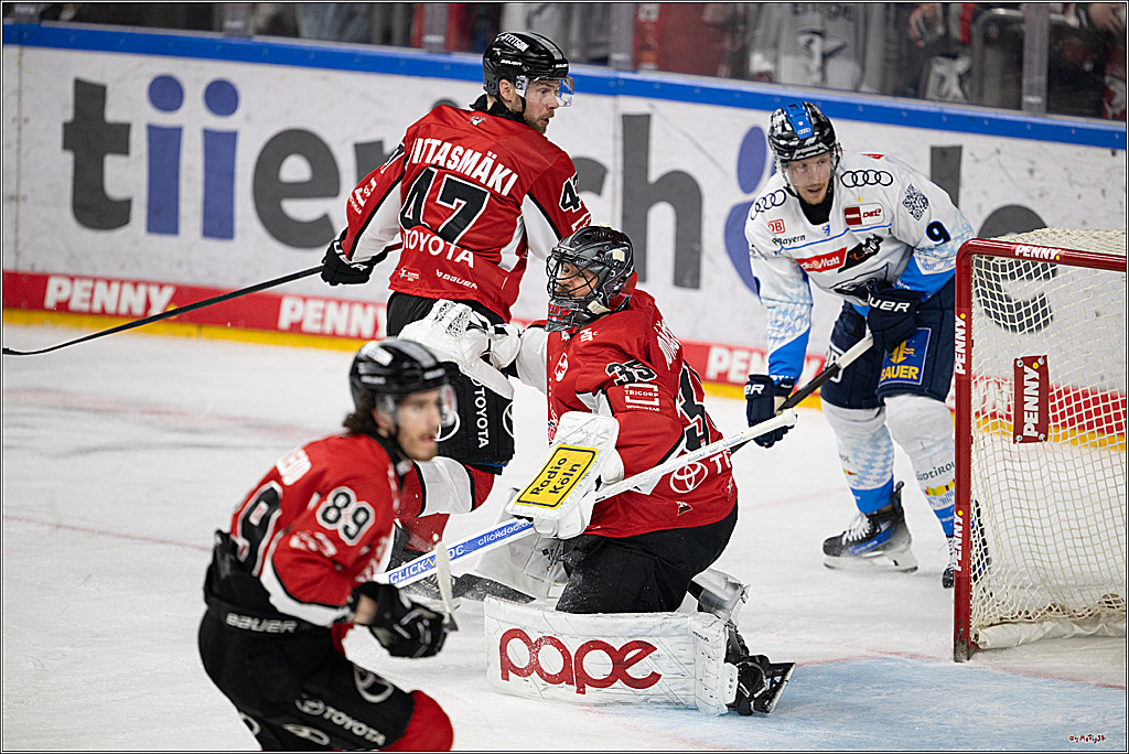PENNY DEL 1 - Playoff Halbfinale; Kölner Haie - ERC Ingolstadt; Köln, 14.04.2025