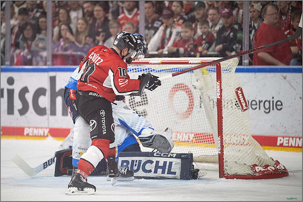 PENNY DEL 1 - Playoff Halbfinale; Kölner Haie - ERC Ingolstadt; Köln, 14.04.2025