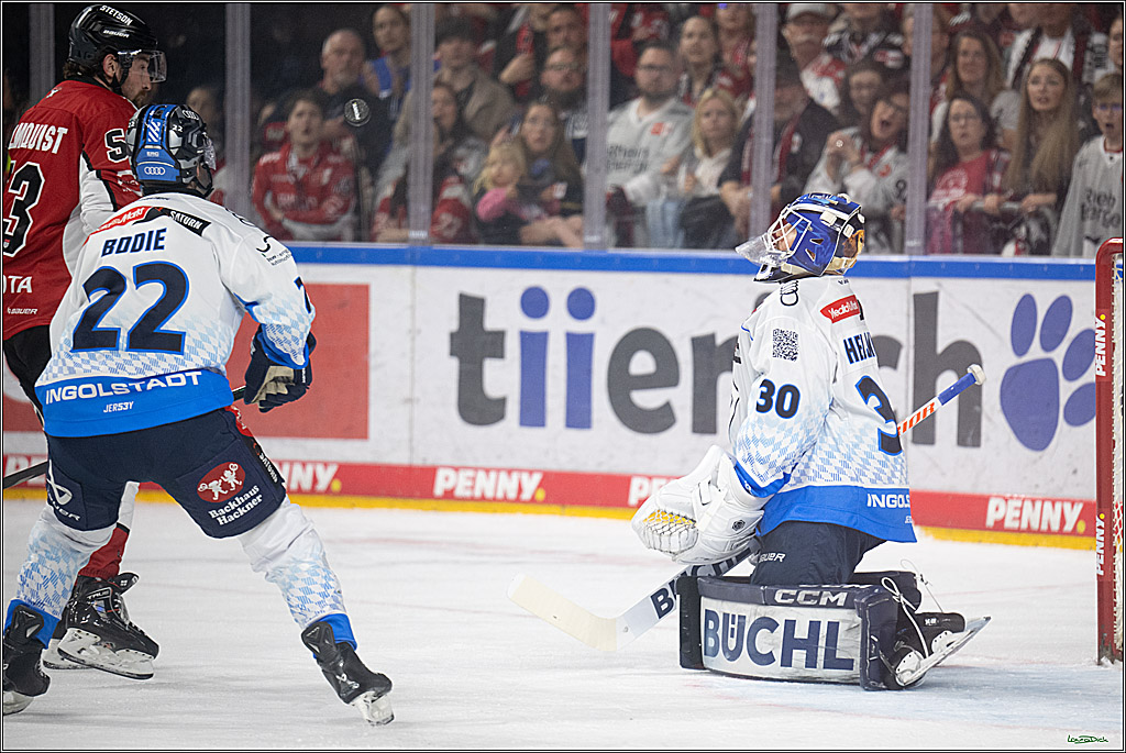 PENNY DEL 1 - Playoff Halbfinale; Kölner Haie - ERC Ingolstadt; Köln, 14.04.2025