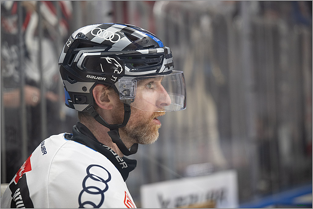 PENNY DEL 1 - Playoff Halbfinale; Kölner Haie - ERC Ingolstadt; Köln, 14.04.2025