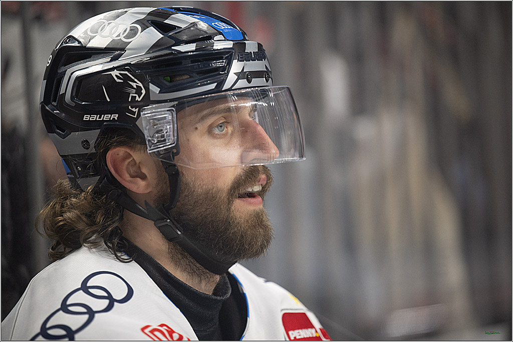 PENNY DEL 1 - Playoff Halbfinale; Kölner Haie - ERC Ingolstadt; Köln, 14.04.2025