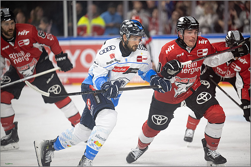 PENNY DEL 1 - Playoff Halbfinale; Kölner Haie - ERC Ingolstadt; Köln, 14.04.2025
