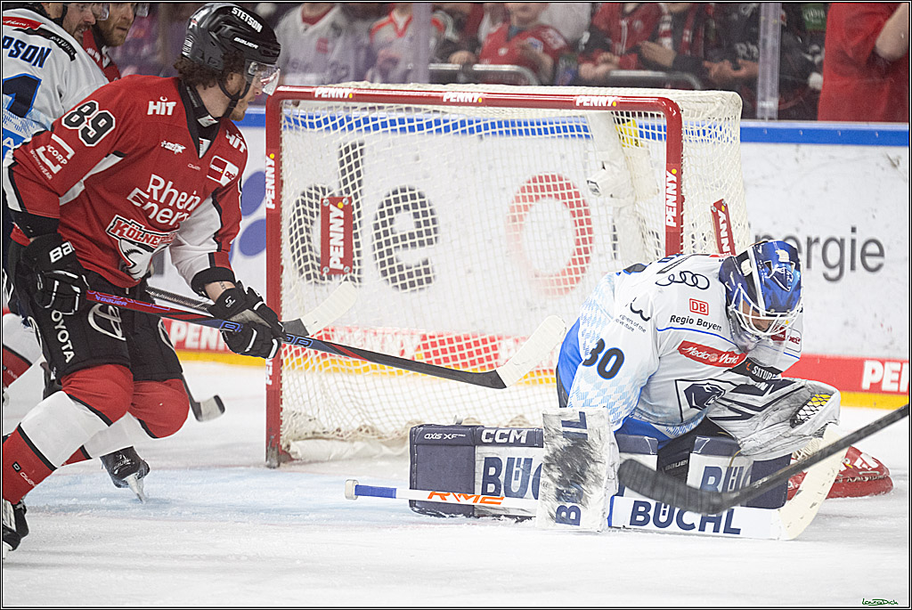 PENNY DEL; Koelner Haie- ERC Ingolstadt; Koeln, 14.04.2025