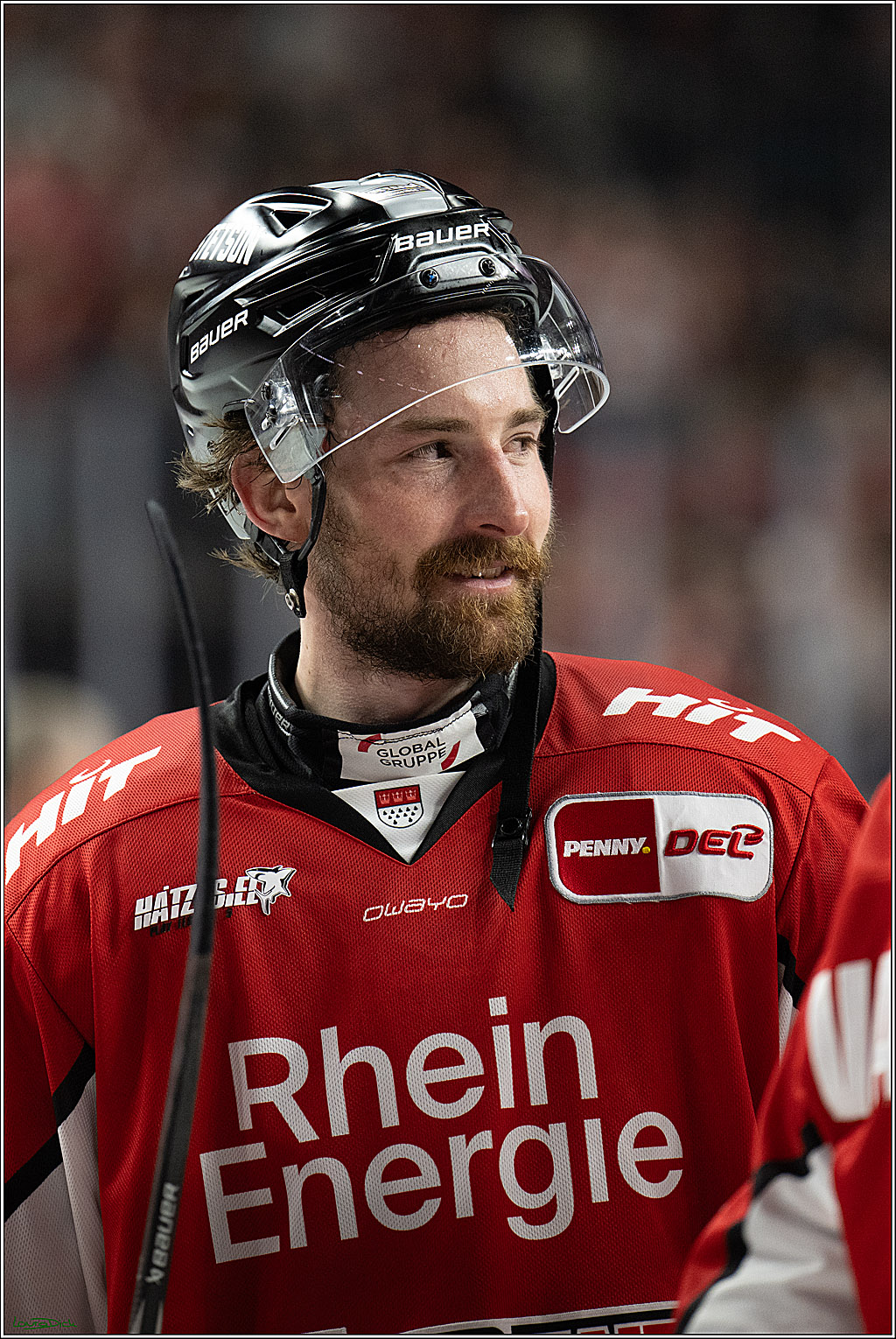 PENNY DEL; Koelner Haie- ERC Ingolstadt; Koeln, 14.04.2025