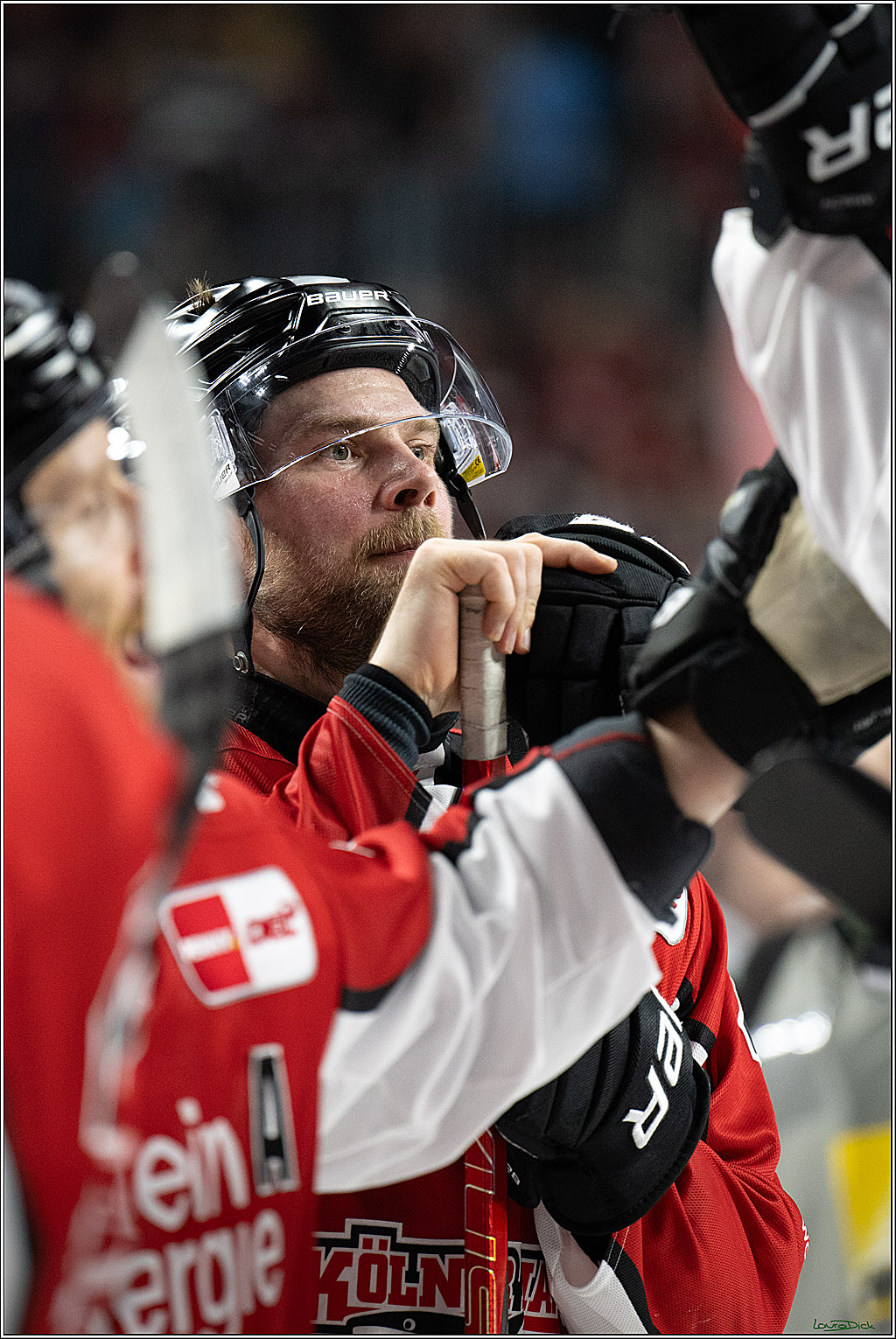 PENNY DEL; Koelner Haie- ERC Ingolstadt; Koeln, 14.04.2025