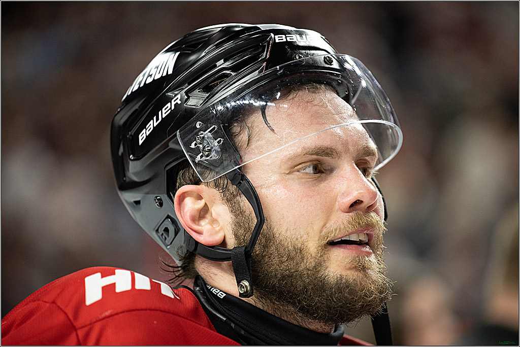 PENNY DEL; Koelner Haie- ERC Ingolstadt; Koeln, 14.04.2025