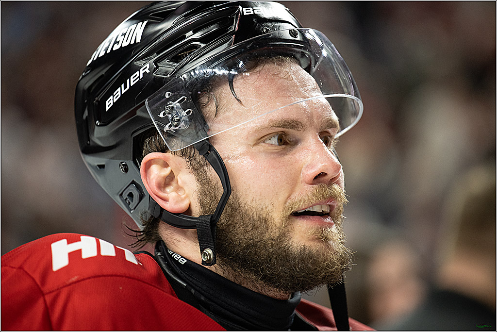 PENNY DEL; Koelner Haie- ERC Ingolstadt; Koeln, 14.04.2025