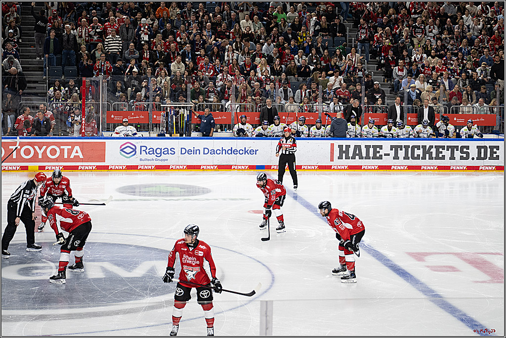 PENNY DEL 1 - Playoff Finale; Kölner Haie - Eisbären Berlin; Köln, 19.04.2025