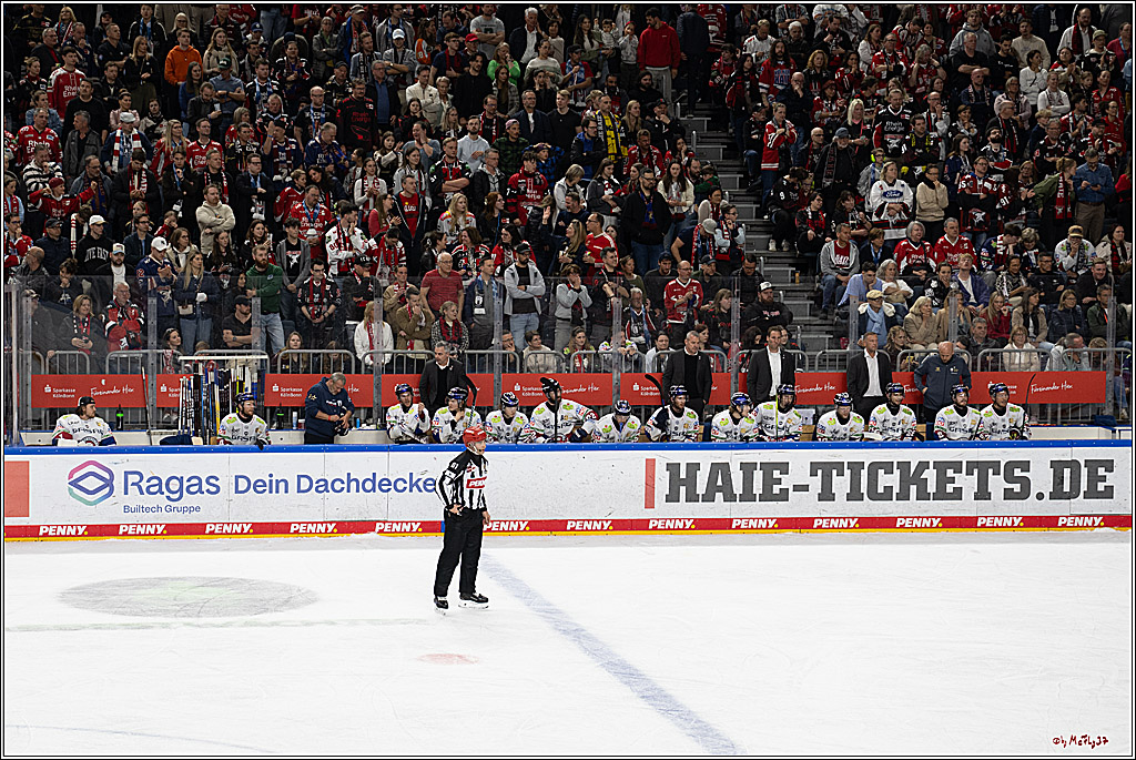 PENNY DEL 1 - Playoff Finale; Kölner Haie - Eisbären Berlin; Köln, 19.04.2025