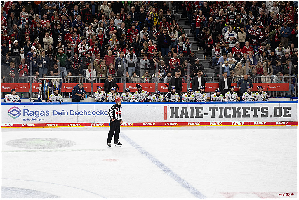 PENNY DEL 1 - Playoff Finale; Kölner Haie - Eisbären Berlin; Köln, 19.04.2025