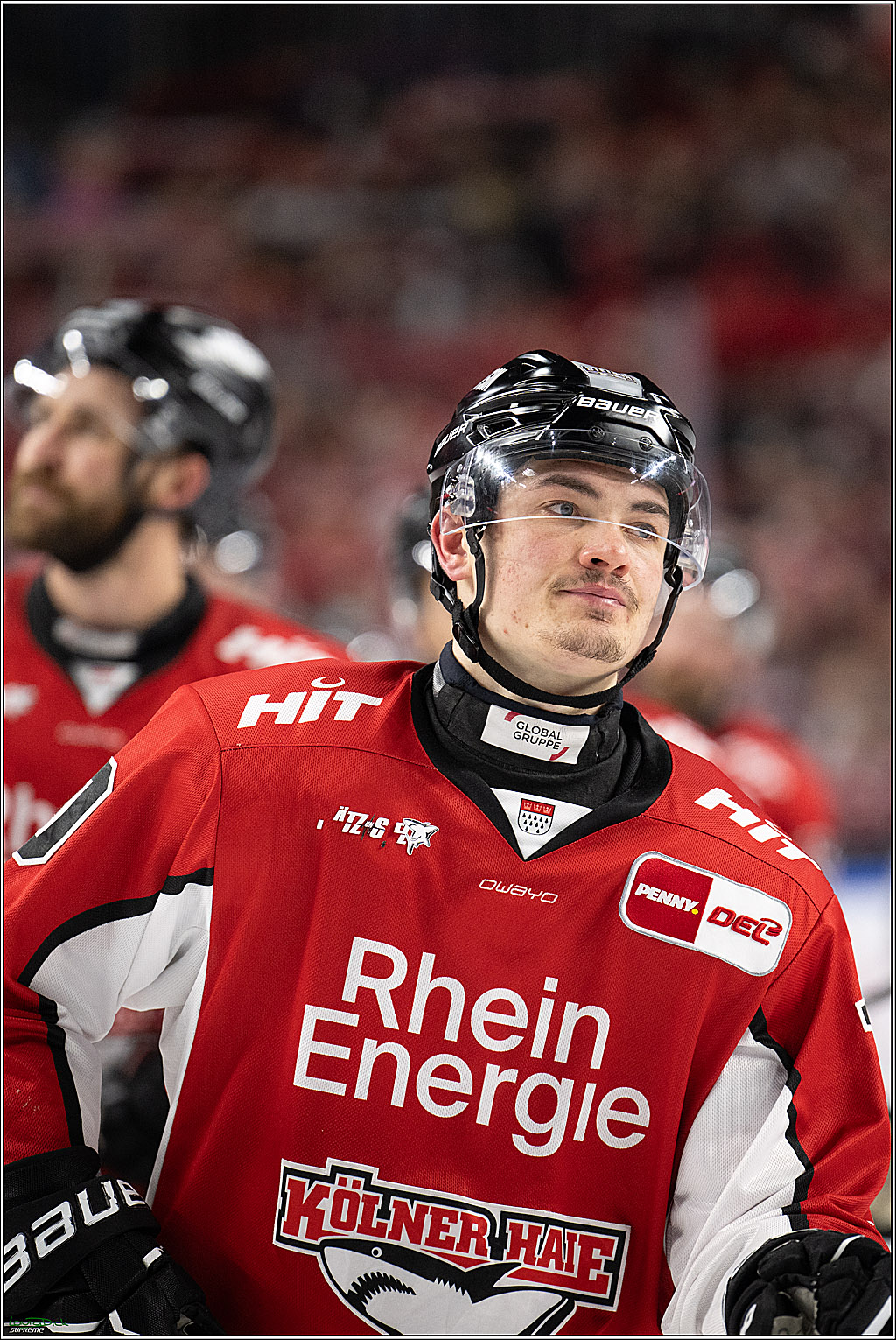 PENNY DEL; Koelner Haie- Eisbaeren Berlin; Koeln, 23.04.2025