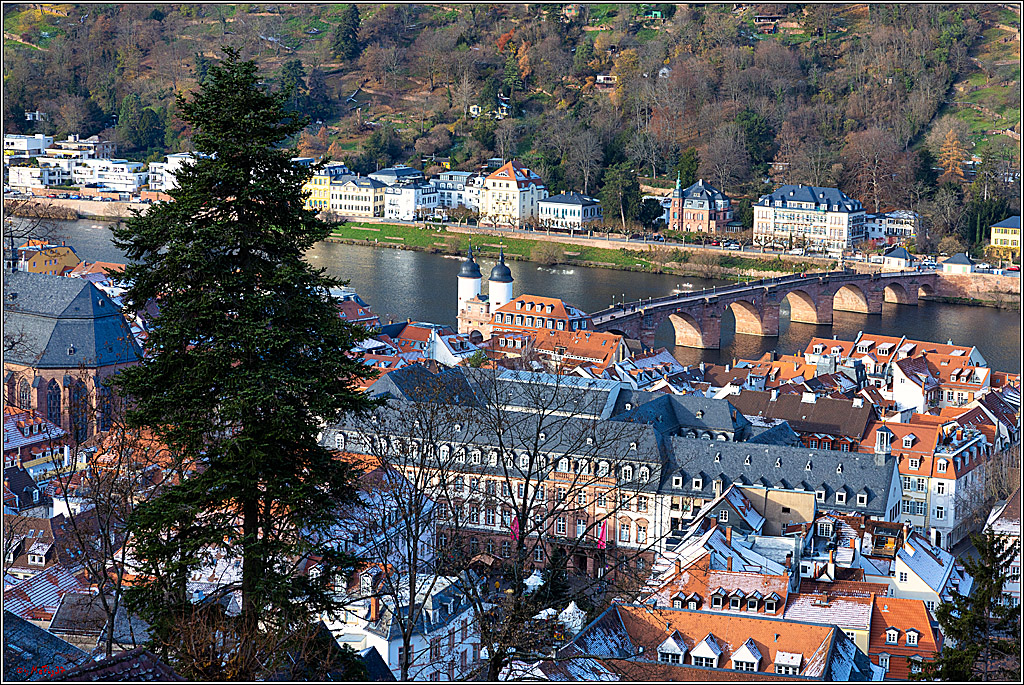 Heidelberg; Heidelberg, 12.12.2022