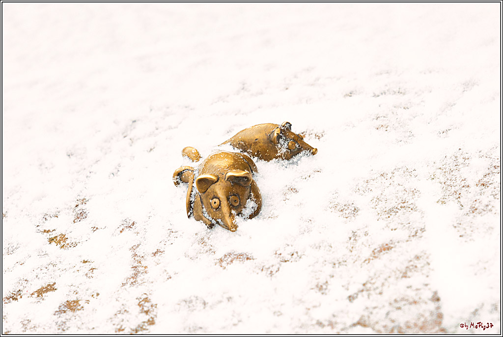 Heidelberg; Heidelberg, 14.12.2022