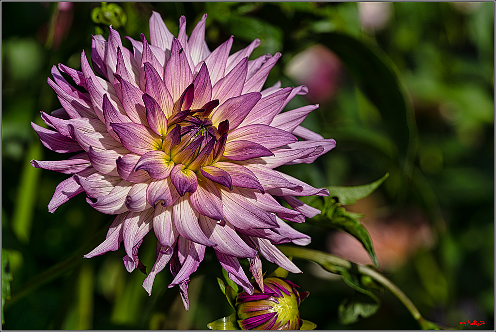 Alltagsmenschen Fulda 2023; Fulda, 14.09.2023