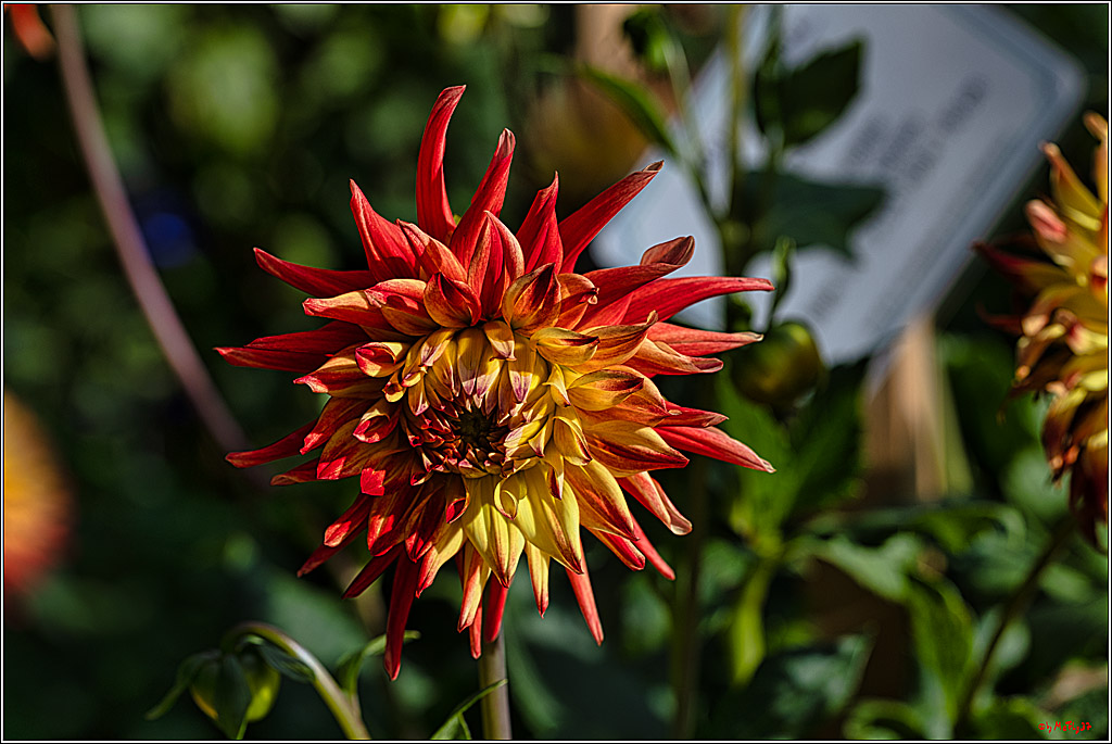 Alltagsmenschen Fulda 2023; Fulda, 14.09.2023