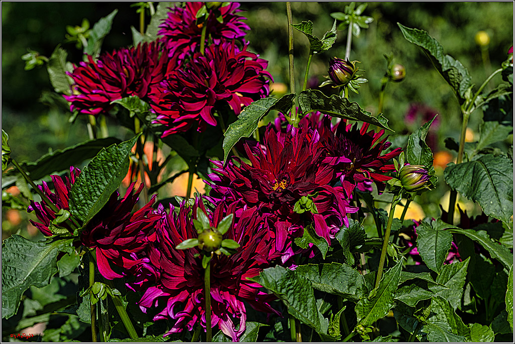 Alltagsmenschen Fulda 2023; Fulda, 14.09.2023