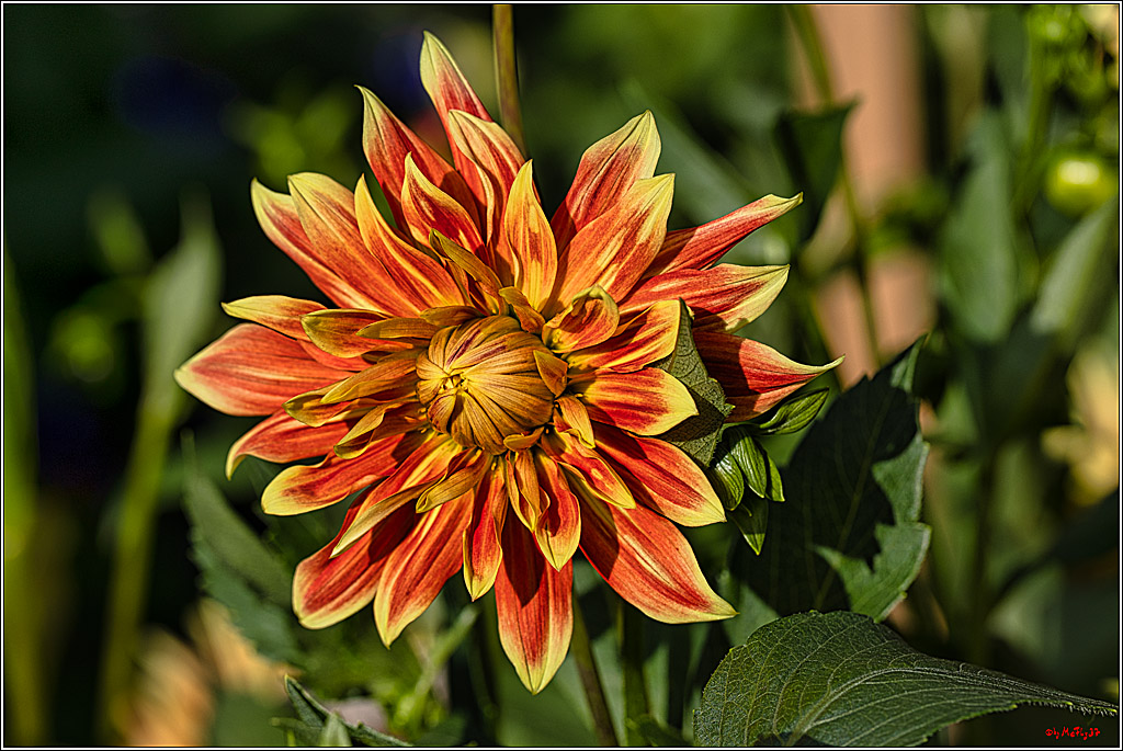 Alltagsmenschen Fulda 2023; Fulda, 14.09.2023