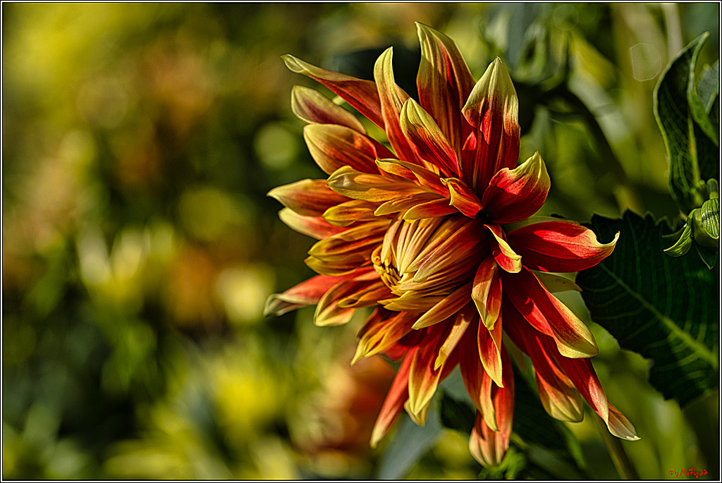 Alltagsmenschen Fulda 2023; Fulda, 14.09.2023