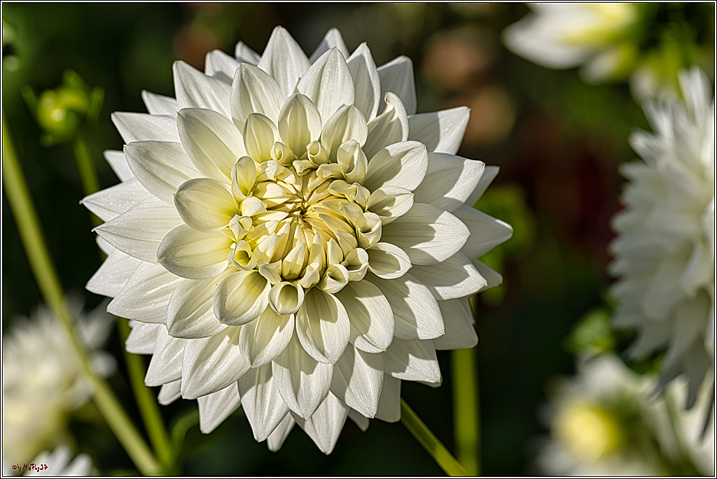 Alltagsmenschen Fulda 2023; Fulda, 14.09.2023