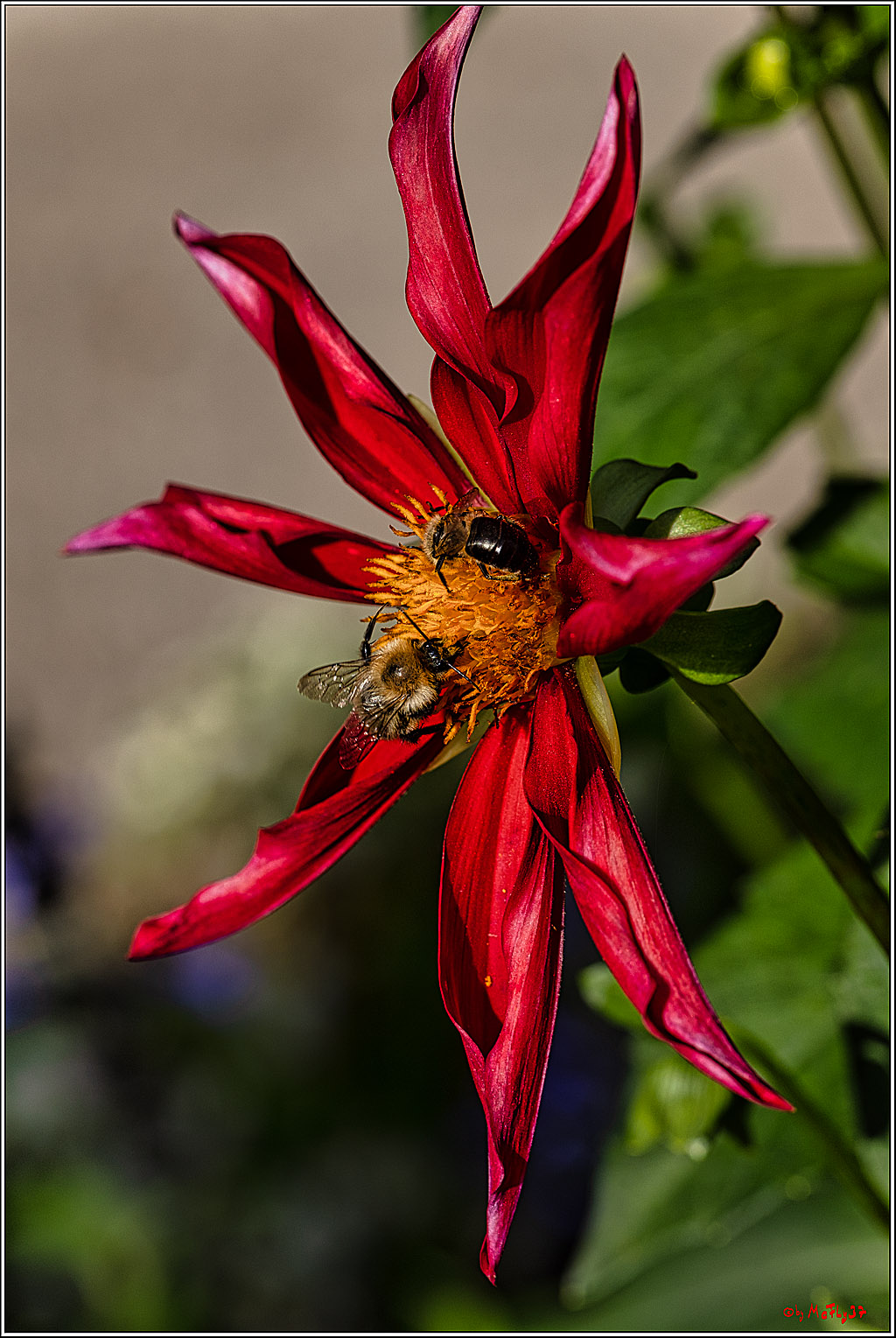 Alltagsmenschen Fulda 2023; Fulda, 14.09.2023