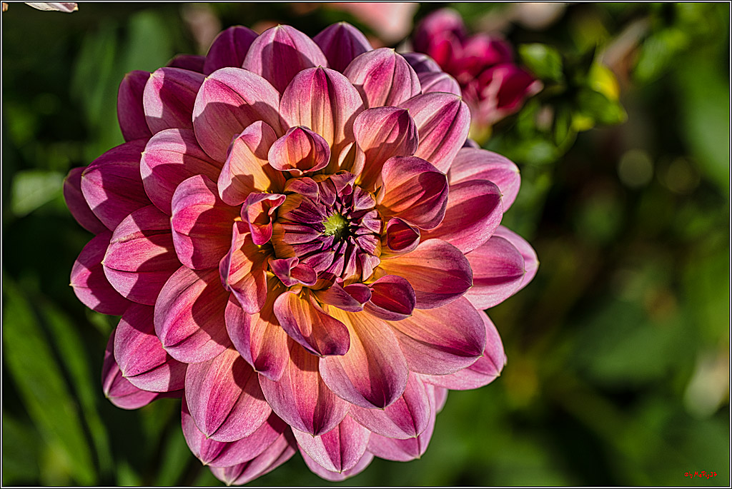 Alltagsmenschen Fulda 2023; Fulda, 14.09.2023