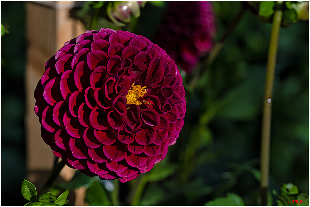 Alltagsmenschen Fulda 2023; Fulda, 14.09.2023