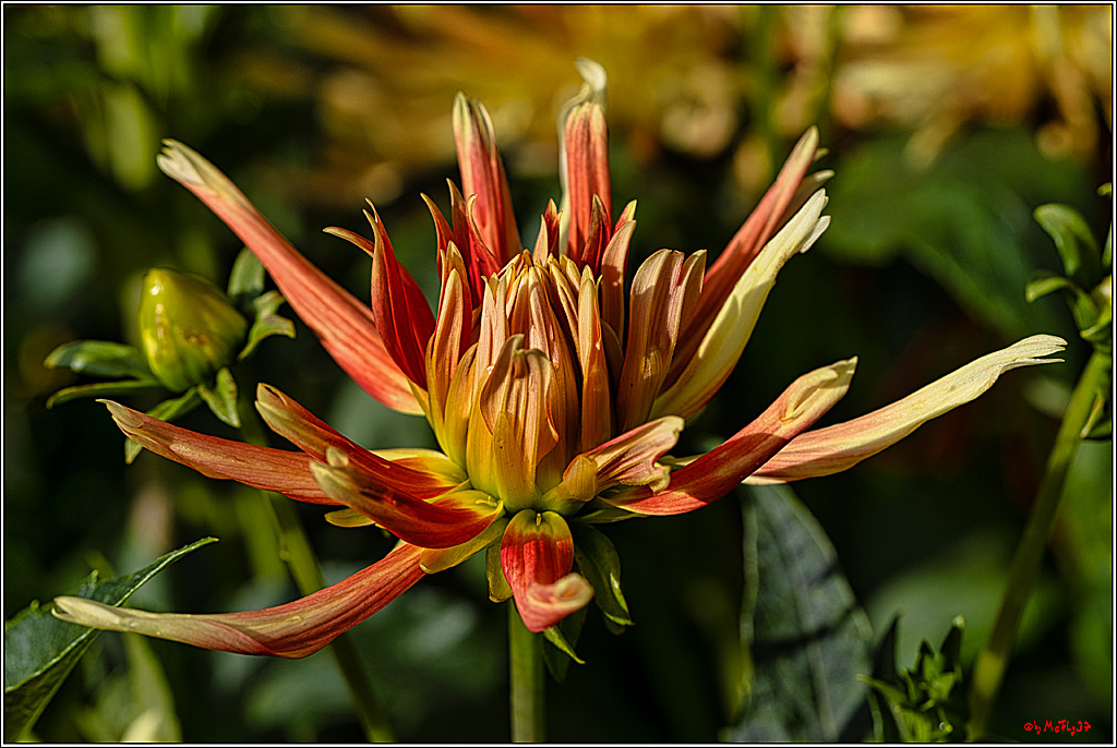 Alltagsmenschen Fulda 2023; Fulda, 14.09.2023