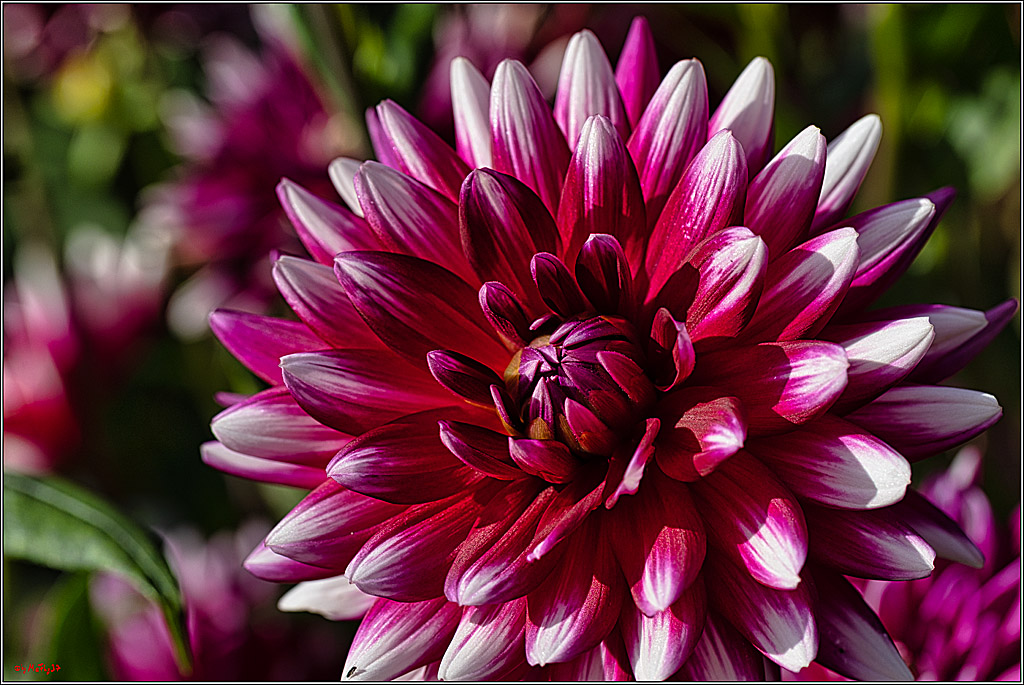 Alltagsmenschen Fulda 2023; Fulda, 14.09.2023