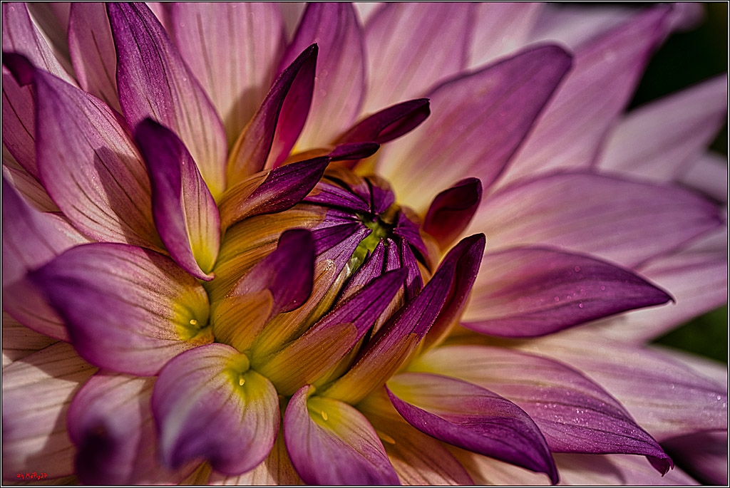 Alltagsmenschen Fulda 2023; Fulda, 14.09.2023