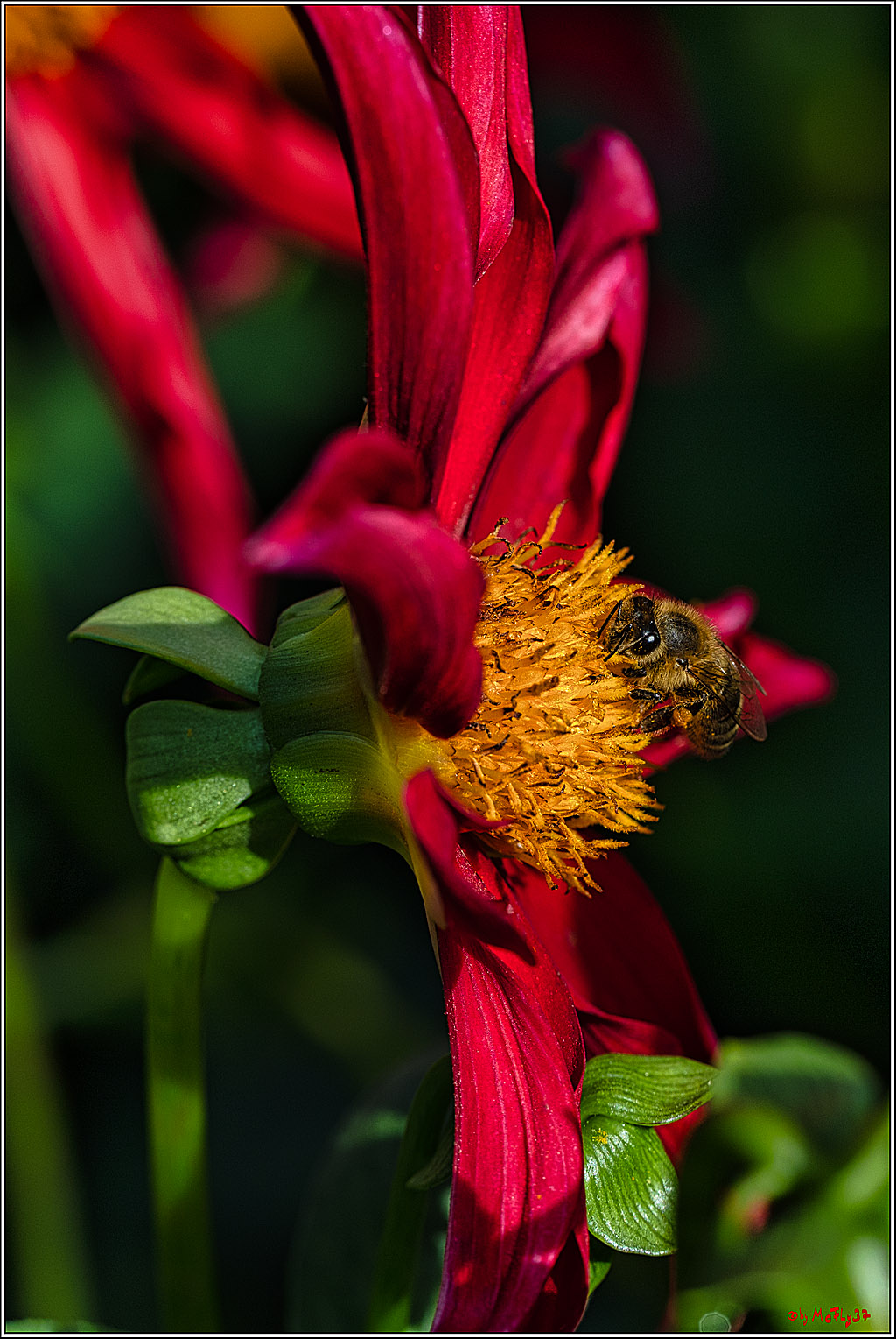 Alltagsmenschen Fulda 2023; Fulda, 14.09.2023