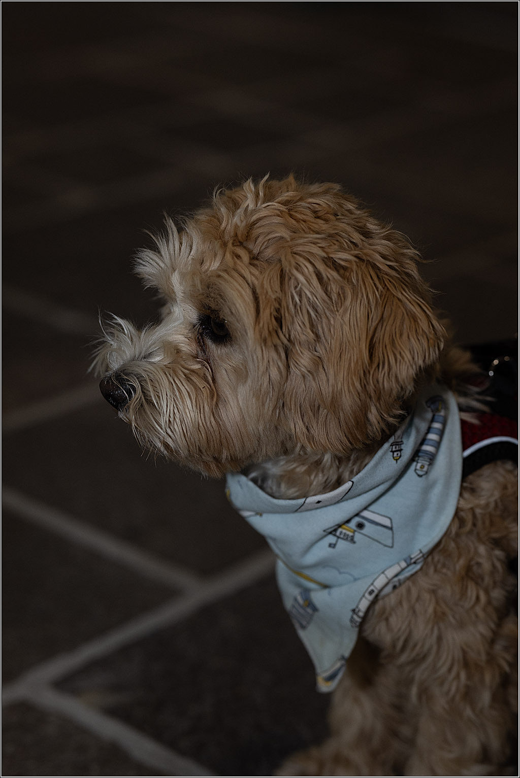 Standesamtliche Trauung Lisa u. Marc NEUMANN; Dielsdorf, 05.05.2025