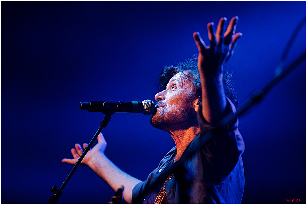 Open Air The Hooters, 19.07.2022