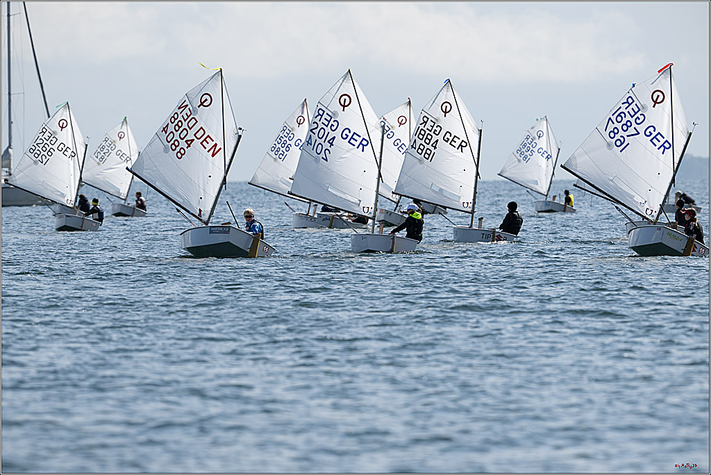 Goldene Opti 2025, 24.05.2025