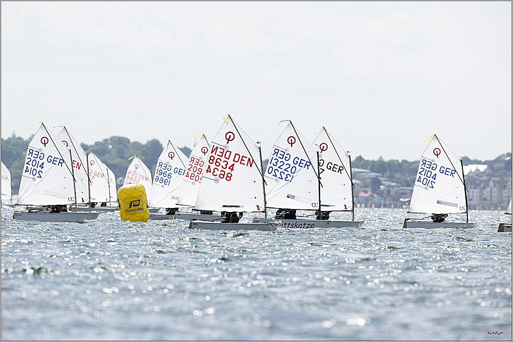 Goldene Opti 2025, 24.05.2025