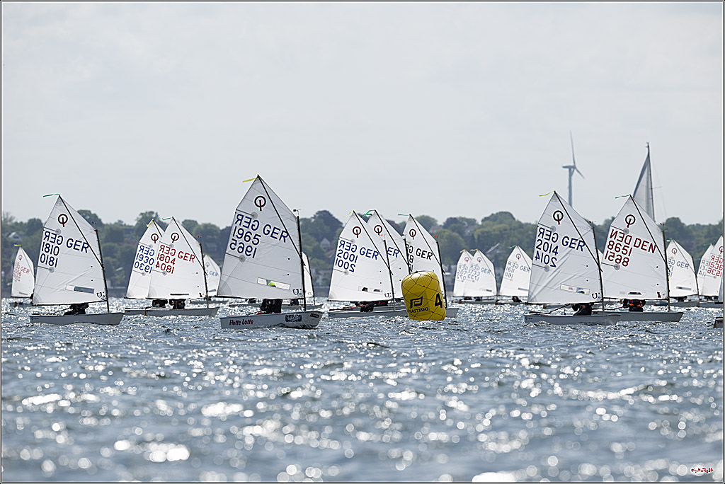 Goldene Opti 2025, 24.05.2025