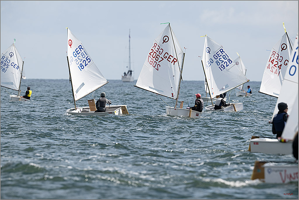 Goldene Opti 2025, 24.05.2025