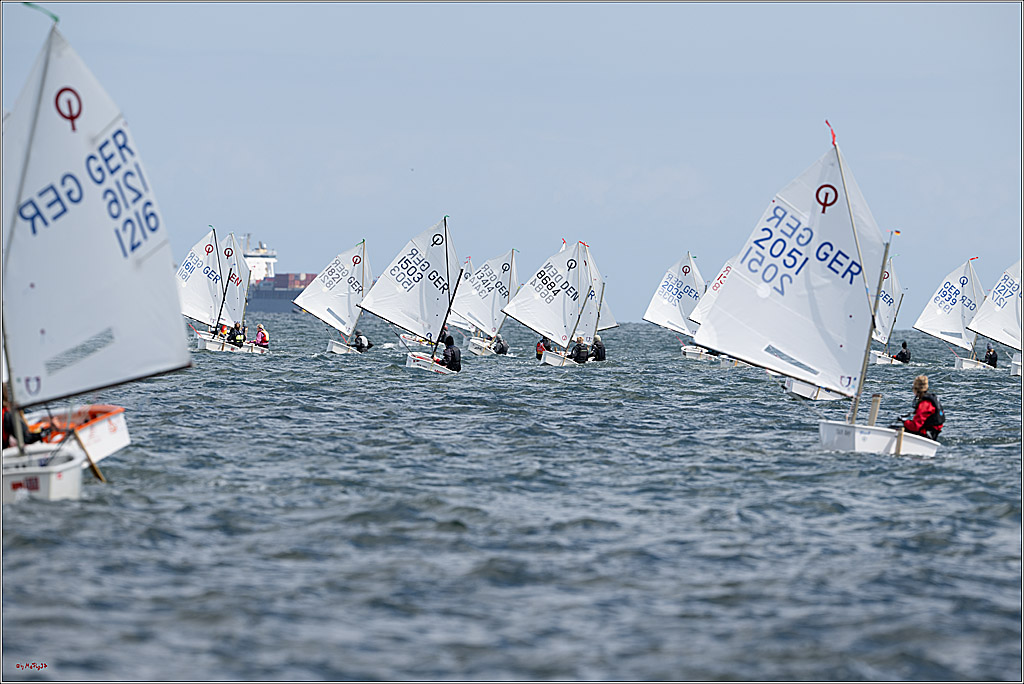 Goldene Opti 2025, 24.05.2025