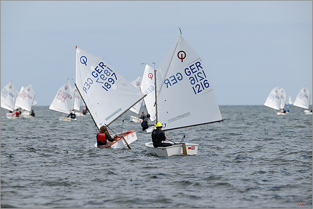 Goldene Opti 2025, 24.05.2025