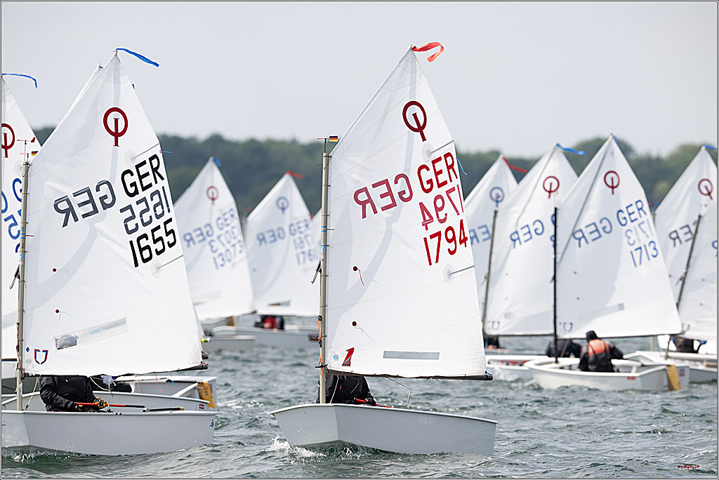 Goldene Opti 2025, 24.05.2025