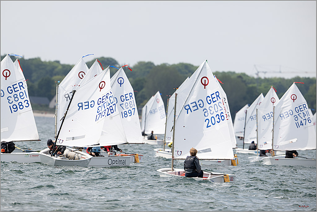 Goldene Opti 2025, 24.05.2025