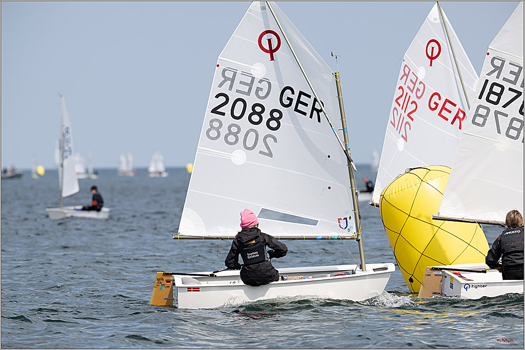 Goldene Opti 2025, 24.05.2025