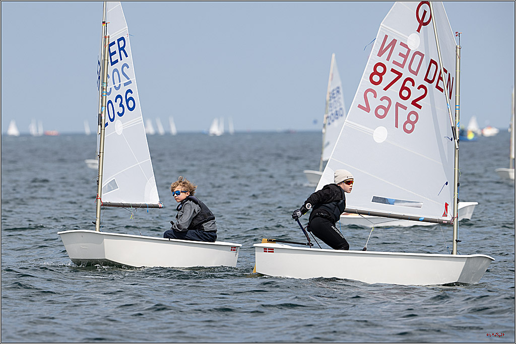 Goldene Opti 2025, 24.05.2025